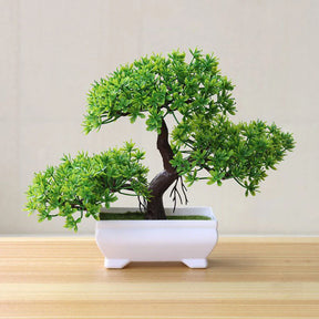 Bonsai Decorativo - OP (7 cores)