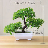 Bonsai Decorativo - OP (7 cores)